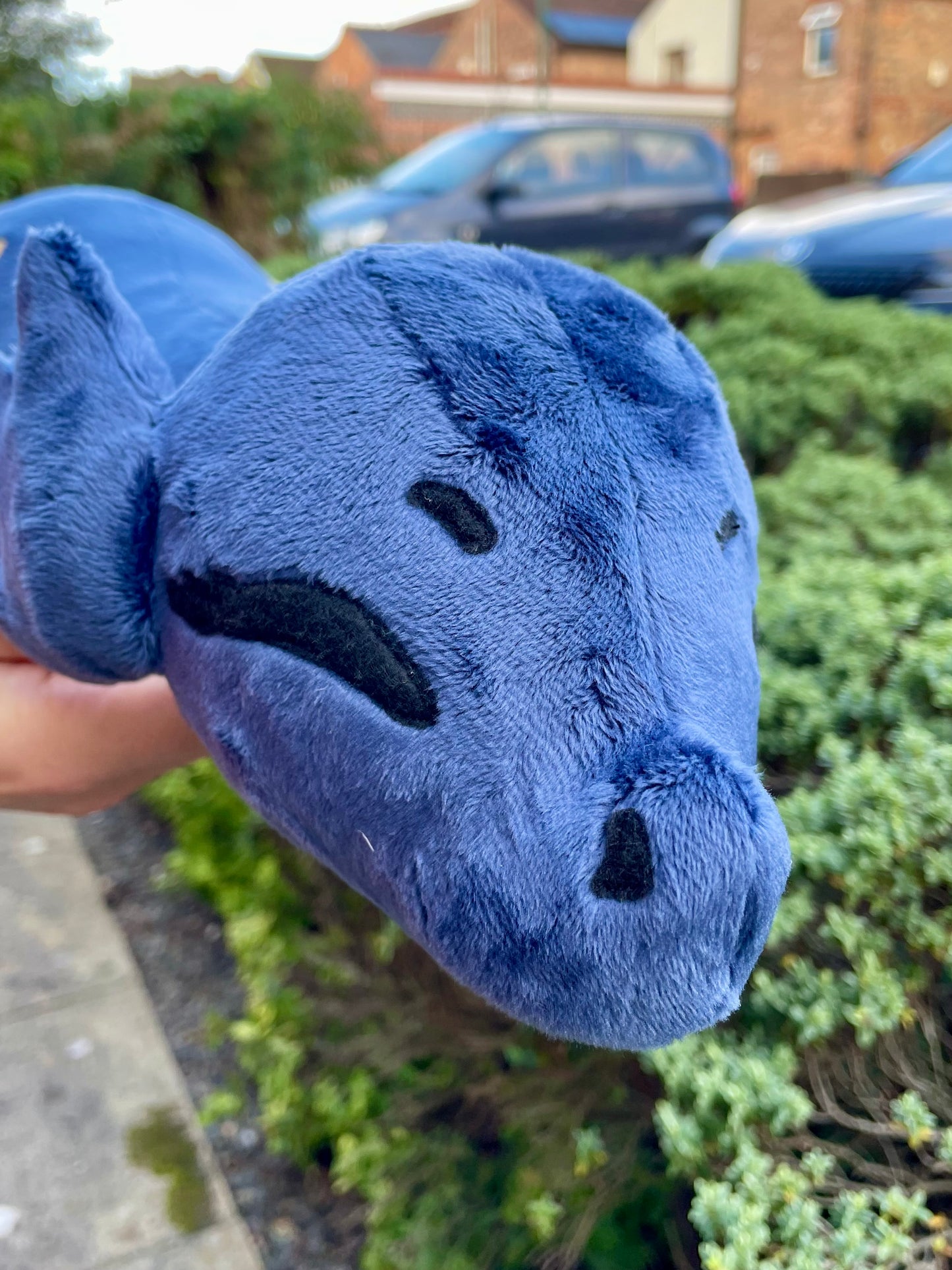 Private Listing - Plesiosaur Plushie with Stars and Moon Accents + Orange Korok Ready to Post.
