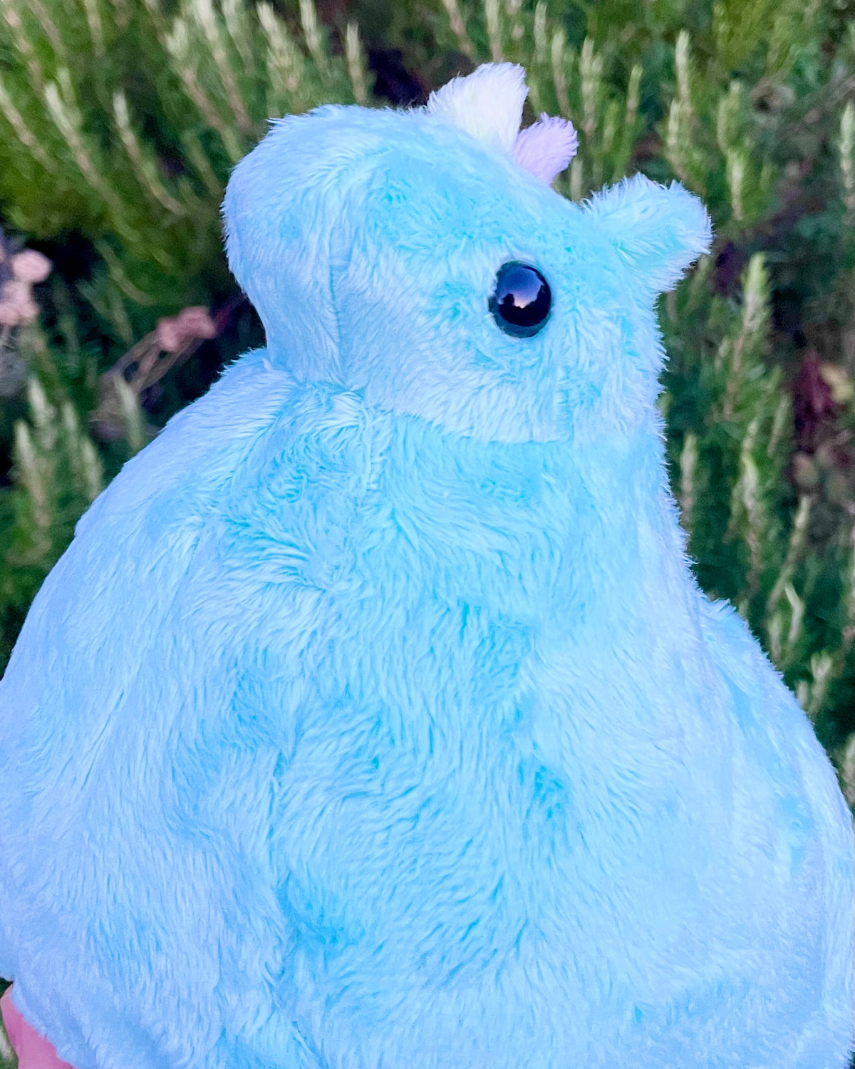 Ready to Post Pastel Teal Unihonse