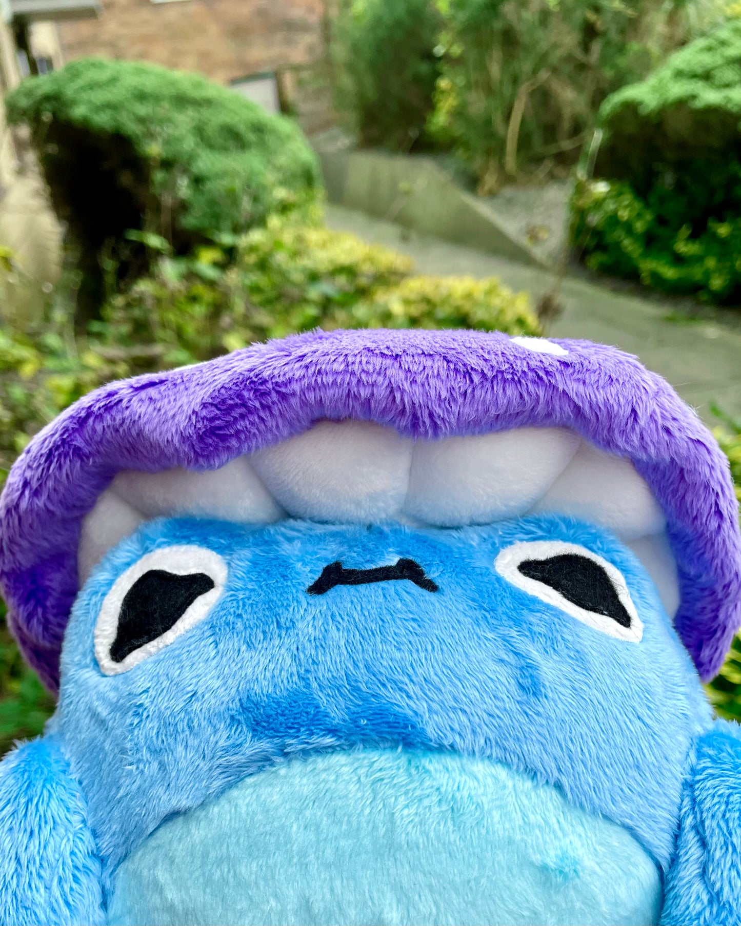 Hand Made Plush - Blue Cheeky Chubby Frog with Rich Purple Mushroom Hat Plushie, Ready to Post.