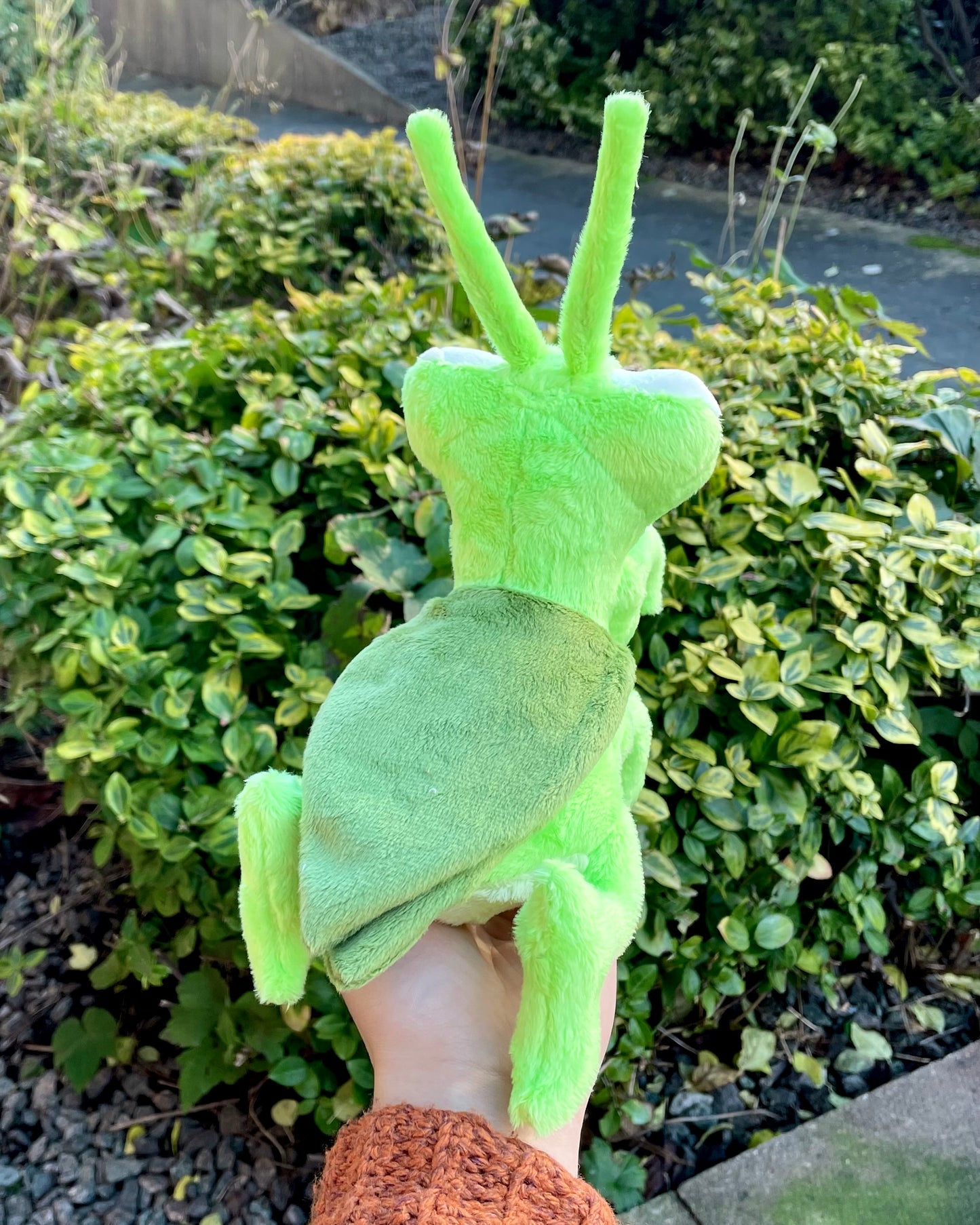 Hand Crafted Plush - Lime Green Praying Mantis Bug Plush, Ready to Post.