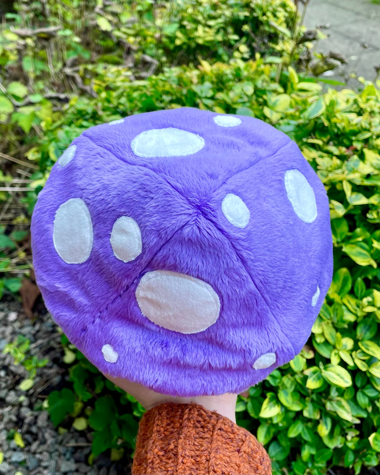 Hand Made Plush - Blue Cheeky Chubby Frog with Rich Purple Mushroom Hat Plushie, Ready to Post.