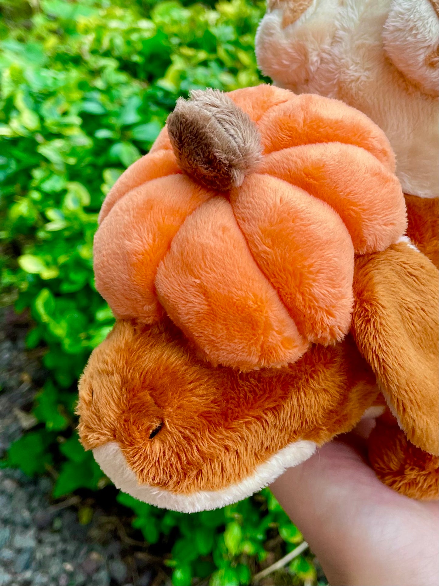 Hand Made Plush - Pumpkin Pie Version of Apple Pie Dragon Pocket Monster Plushie.